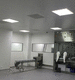 LED-Panel / Labor / für Reinraum / für Decke / deckenmontiert