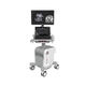 plattformmontiertes Ultraschallgerät / für intraoperative Ultraschalldiagnostik / Farbdoppler / 3D/4D