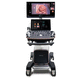 plattformmontiertes Ultraschallgerät / für Ultraschalldiagnostik in Gynäkologie und Geburtshilfe / Farbdoppler / 3D/4D