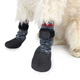 Veterinär-Lauforthese / für Hunde / wasserdicht