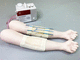 Simulator für Allgemeinpflege / Anatomie / Ausbildung / für intravenöse Injektion