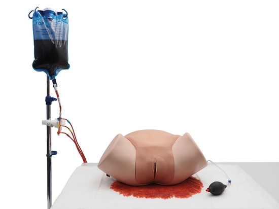 Praktischer Trainer von 3B Scientific zur Kontrolle postpartaler Blutungen