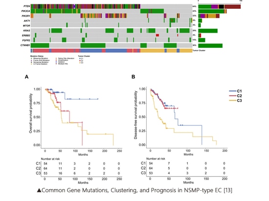 Die Biomarker von Subtypen bei Endometriumkarzinom