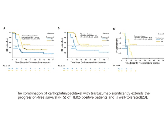 Die Biomarker von Subtypen bei Endometriumkarzinom