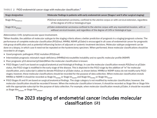Das FIGO-Staging 2023 für Endometriumkarzinom umfasst eine molekulare Klassifizierung