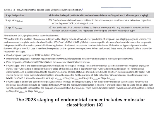 Das FIGO-Staging 2023 für Endometriumkarzinom umfasst eine molekulare Klassifizierung