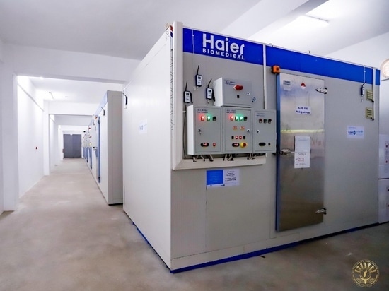 Stärkung der globalen Gesundheitsversorgung: Haier Biomedical revolutioniert die Lagerung und den Transport von Impfstoffen