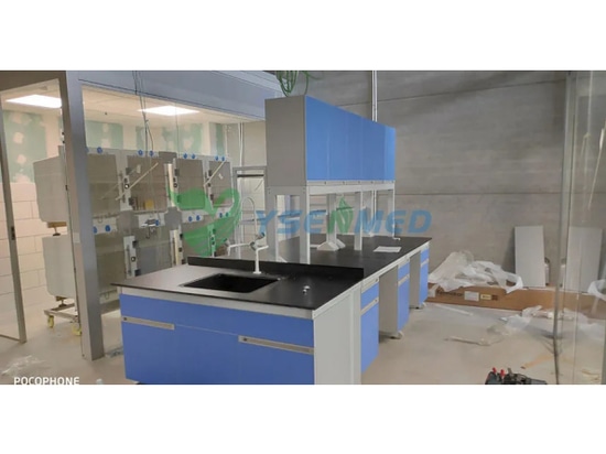 YSENMED-Tierarztausrüstung in einer neuen Tierklinik in Spanien aufgestellt
