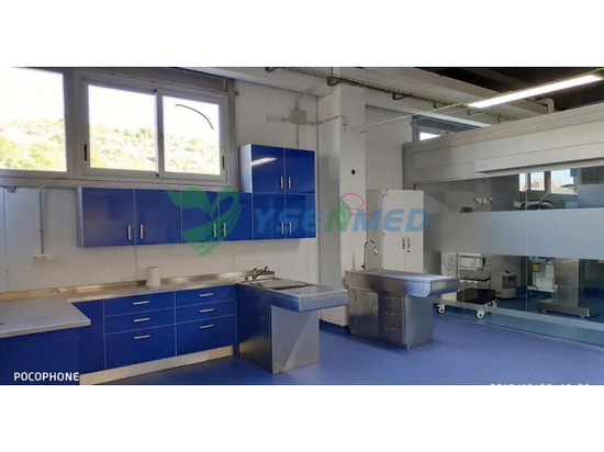 YSENMED-Tierarztausrüstung in einer neuen Tierklinik in Spanien aufgestellt