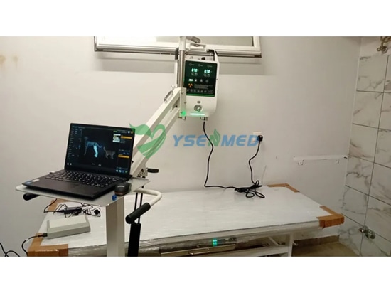 Zypriotischer Tierarzt ist zufrieden und glücklich mit dem digitalen Röntgensystem YSENMED YSX053-A VET