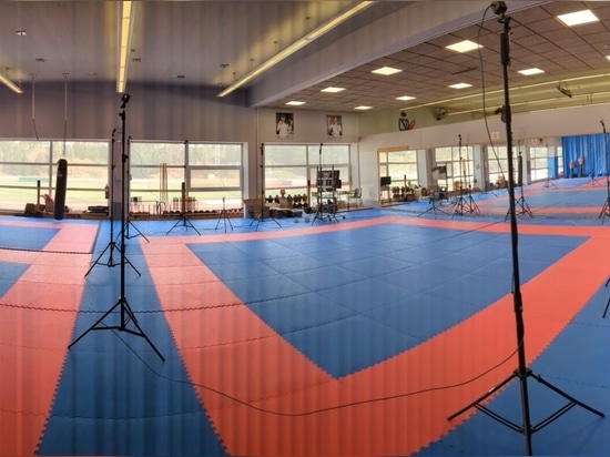 Fortgeschrittene Biomechanik zur Unterstützung der Karate-Eliteleistung