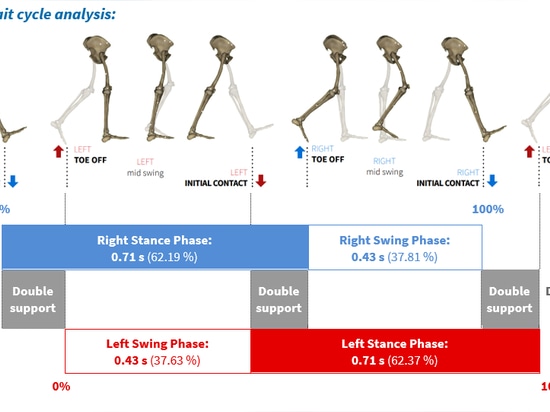 3DMA-System: ein wertvolles Werkzeug für die klinische Biomechanik