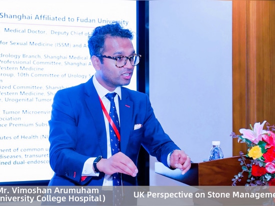 Herr Vimoshan Arumuham: UK-Perspektive auf Steinmanagement