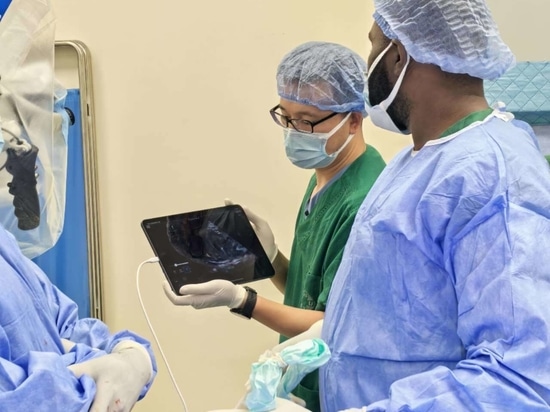 NPUS-01: Das tragbare Ultraschallgerät für die Neurochirurgie