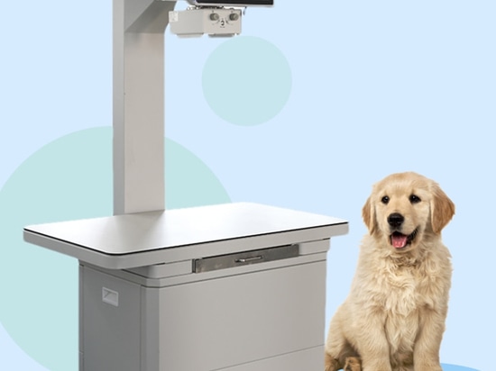Tierärztliches Röntgengerät, ein großer Helfer für die genaue Diagnose von Haustieren!