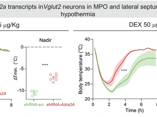 dex-induzierte Hypothermie