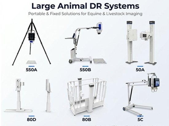 Beste DR-Systeme für die Bildgebung von Pferdegliedmaßen