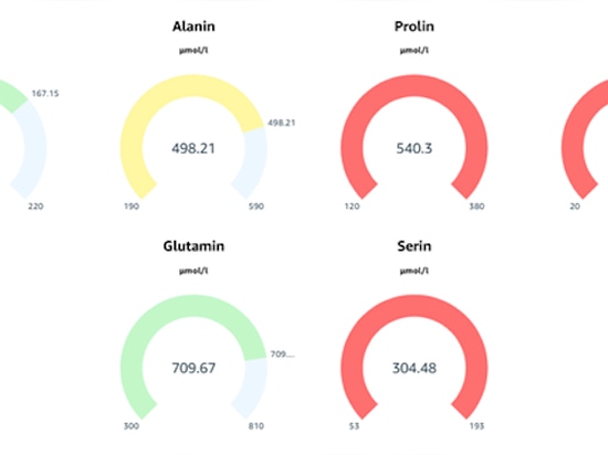 Aminosäureanalytik als Grundlage für personalisierte Gesundheitsvorsorge