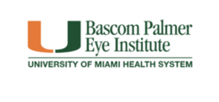 Bascom Palmer CURSO