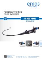 Flexibles Zystoskop - 1