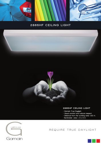 2865HF CEILING LIGHT