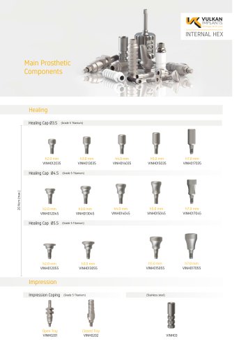 Main Prosthetic Components