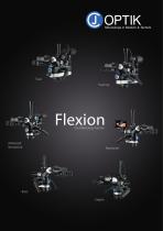 Flexion Family - 1