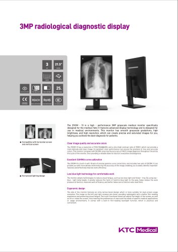3MP Mono Medical Monitor