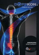 Endoscopic Spine Surgery