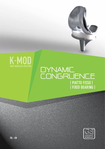 K-MOD DYNAMIC CONGRUENCE