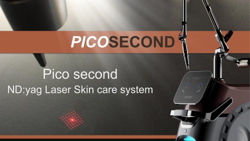 SP-1 500PS