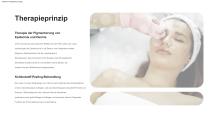 Tragbarer Q-Switch-ND:YAG-Laser-2