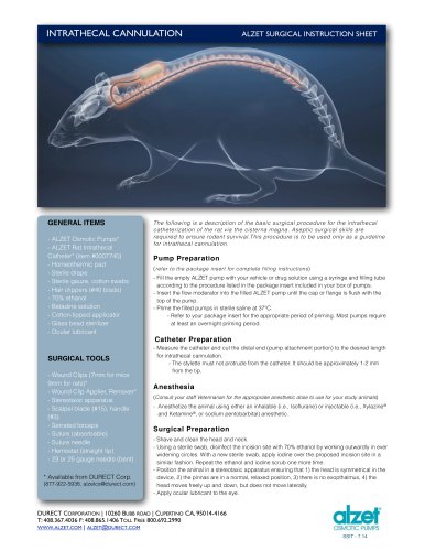 INTRATHECAL CANNULATION