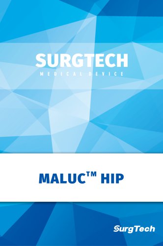 Surgtech Hip Prosthesis System