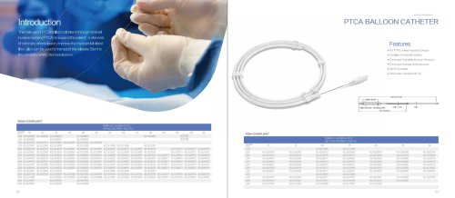 PTCA Balloon Catheter