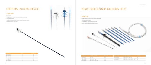 Ureteral Access Sheath & Percutaneous Nephrostomy Sets