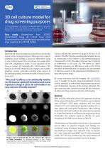 Fluorescence imaging case study: 3D cell culture model for drug screening purposes