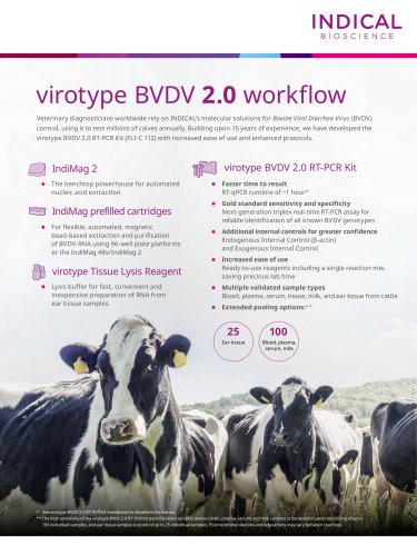 virotype BVDV 2.0 workflow