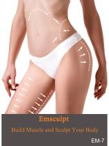 Professional Pelvic Floor Muscle Stimulation Devices for Women Wellness EM-7