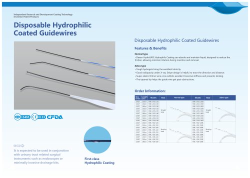 catheter guidewire H06