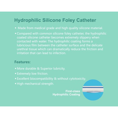 foley catheters