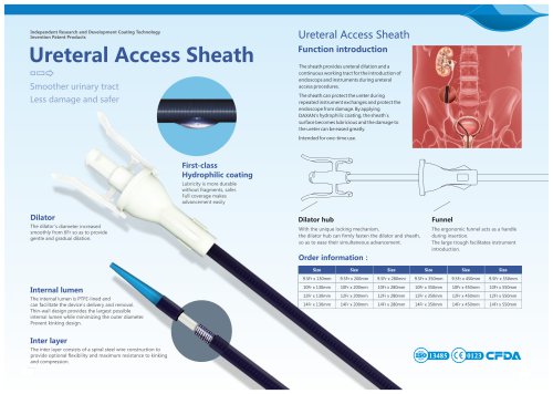 ureteral access sheath H04