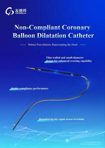 Non-Compliant Coronary Balloon Dilatation Catheter