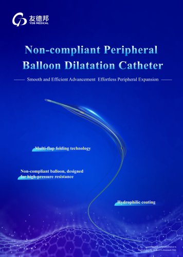 Non-Compliant Peripheral Balloon Dilatation Catheter
