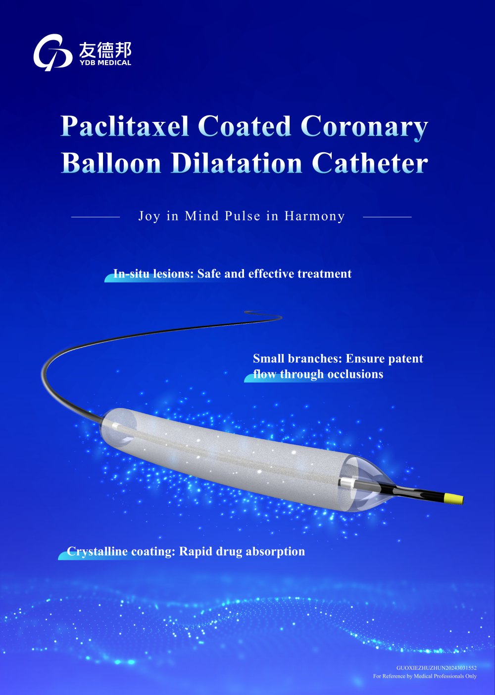 Paclitaxel Coated Coronary Balloon Dilatation Catheter - Nanjing YDB Medical Technology Co., Ltd.