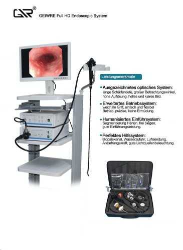 Electronic gastroenteroscope