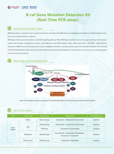 B-raf Gene Mutation Detection Kit