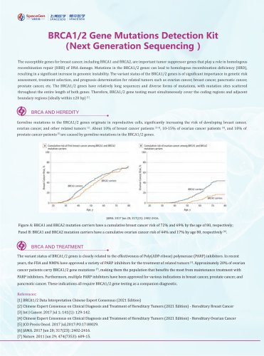 BRCA1/2 Gene Mutations Detection Kit 