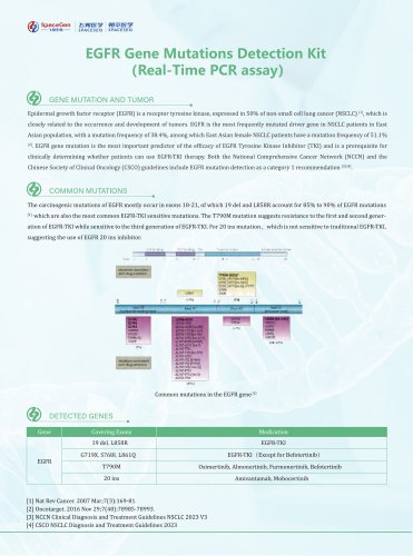 EGFR Gene Mutations Detection Kit