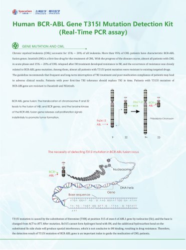 Human BCR-ABL Gene T315I Mutation Detection Kit